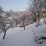 Relaxing With Garden