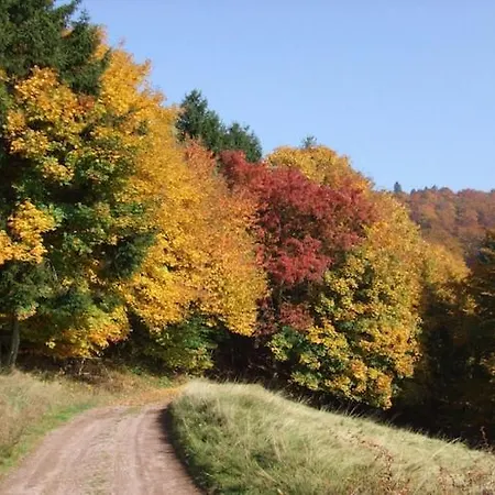 Сasa de vacaciones Relaxing With Garden Langenbach (Thuringia)