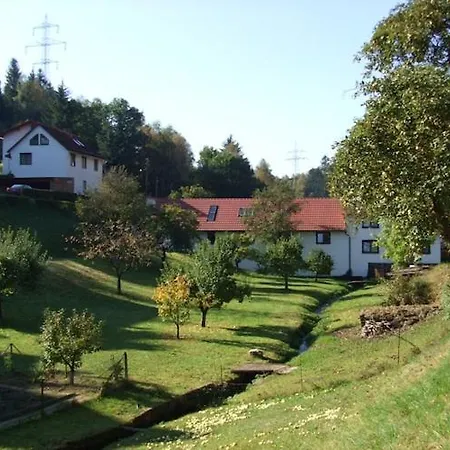 Relaxing With Garden *