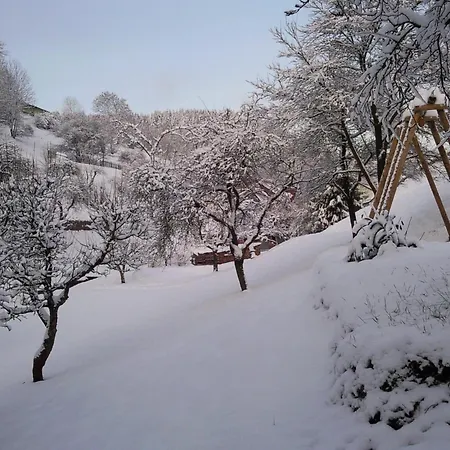 Relaxing With Garden