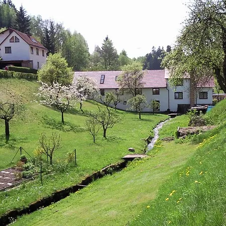 Quaint In Near The