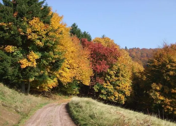 Dom wakacyjny Relaxing With Garden Langenbach (Thuringia)