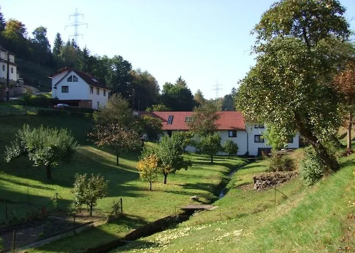 Relaxing With Garden *