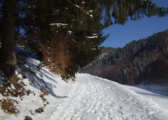 Relaxing With Garden * Langenbach