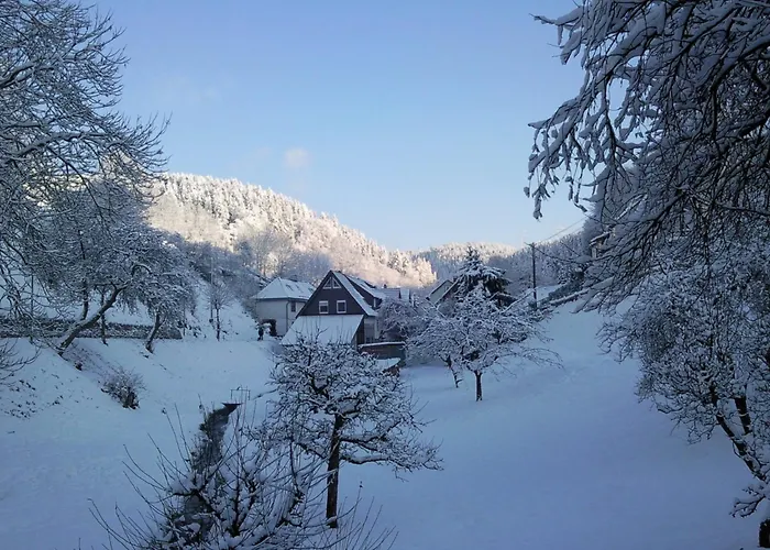 Relaxing With Garden *