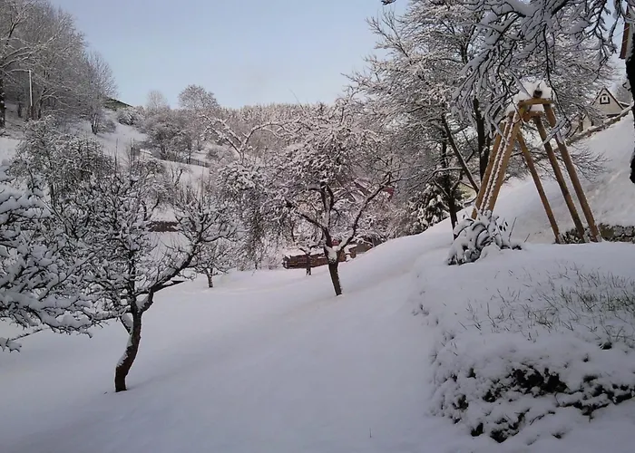 Relaxing With Garden