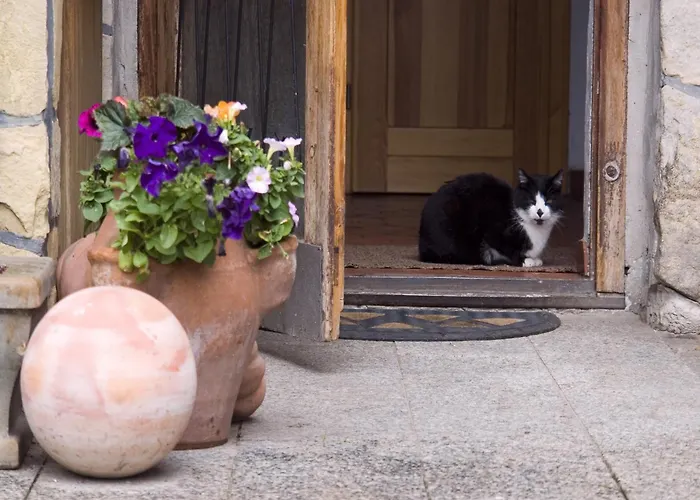 Relaxing With Garden Dom wakacyjny Langenbach (Thuringia)